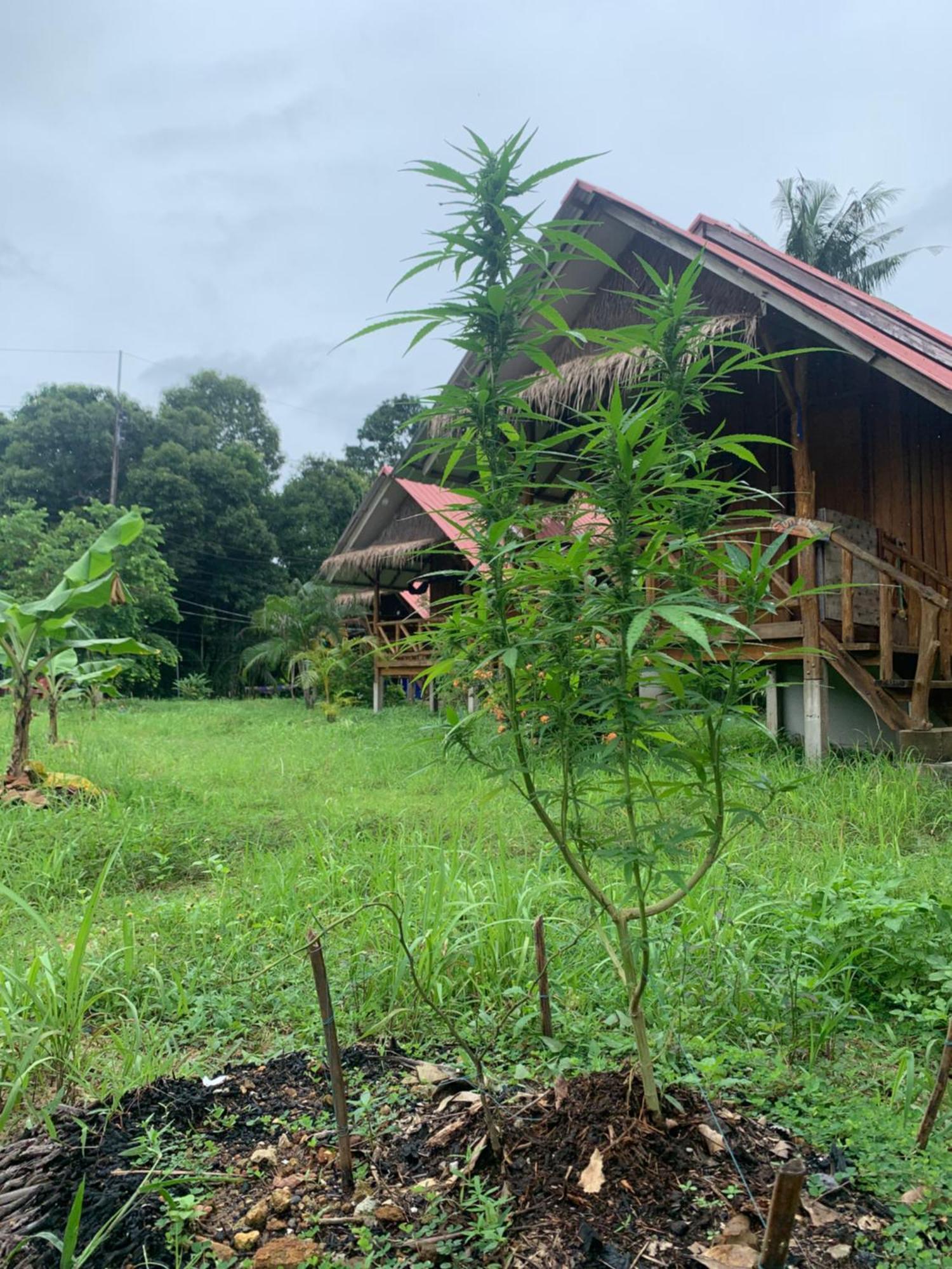 Seree Bungalows & Chill Bar 象岛 外观 照片